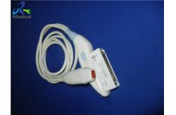 China GE 10S RS Used Ultrasound Probe Phased Array For Neonatal supplier