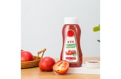 China 16oz Tomato Sauce Plastic Seasoning Bottles Odorless supplier