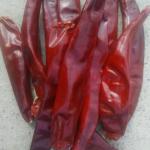 Moisture 8%-12% Dried Chilli Seeds With Crispy Texture - 1%Max Impurity for sale