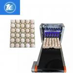 Automatic Continuous Inkjet Batch Coding Machine / Egg Grading Equipment for sale