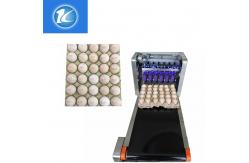China High Precision Expiration Date And Customizable Style For Egg Printing Machine supplier