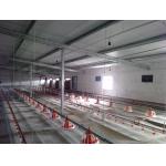 2.2KW Automatic Broiler Feeding System Pan Feeder Poultry For Farms for sale