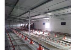 China Computerized Chicken Pan Feeder PVC Pipe Chicken Feeders And Water Systems supplier
