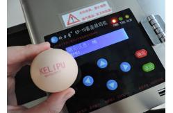 China Smart 600 DPI Egg Inkjet Batch Coding Machine , Continuous Ink System Printer supplier