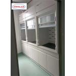 Customized Made Horizontal Fume Hood With Scrubber For Sale Airflow 400m3/h For School & Hospital Laboratory for sale