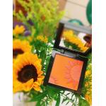 High quality Face Makeup Admirable Double-Colors Blusher for private label manufacturing from contracted factory for sale