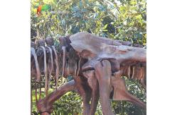 China Weather Resistance T Rex Skeleton Replica supplier