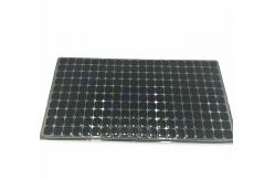 China Customized plastic hydroponic seed nursery seeding pot for plant supplier