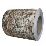 ASTM Color Coated PPGI Steel Coil Prepainted Galvanized Carbon 2mm Tst01 for sale