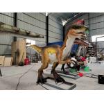 Adult Theme Park Realistic Dinosaur Robot Animatronic Velociraptor