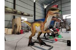 China Adult Theme Park Realistic Dinosaur Robot Animatronic Velociraptor supplier
