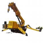 1 Year Warranty Steel Spider Crawler Crane for sale