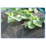 Seasame Dot PP Agriculture Non Woven Cover Non Woven Biodegradable for sale