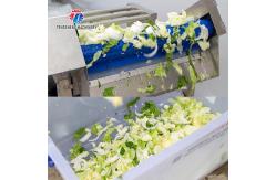 China Customized Potato Fruit And Vegetable Processing Line supplier