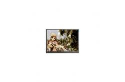 China 6.2 inch F062A07-6T1 tft lcd panel LCD Display supplier