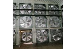 China OEM Standard Poultry House Steel Structure With Sliding Windows supplier