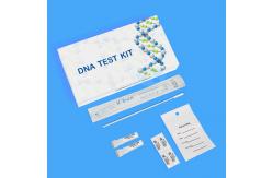 China DNA Buccal Swab Kit Rapid Detection Kit At Home Paternity Test supplier