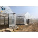 Easy Installation Multi Span Horticulture Greenhouse For Year Round Cultivation for sale