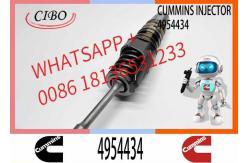 China ELIC Excavator 4062569 4928260 1846348 4954434 Engine Common Rail Fuel Injector supplier