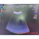 GE C1-5-RS Used Ultrasound Probe For Voluson S6 / S8 for sale