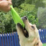 Hard Rubber Chew Toys For Dogs Indoor Interactive Eco Friendly