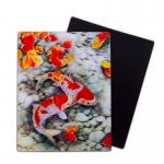3D Magnets Sealifes Dolphin Shark Turtle Lenticular Printing Card For Gifts
