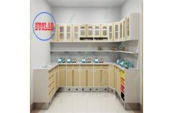 China Frame Wall Mounted Hospital Disposal Workstation with Drawers and Adjustable Shelves supplier