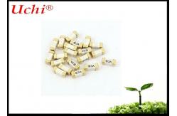 China 250V 5A Square Ceramic Body Fast Acting Fuses Surface Mount 1808 6125 2410 supplier