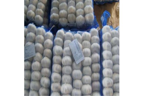PURE WHITE GARLIC WITH TUBE & MESHBAG PACKAGE