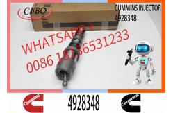 China Injector Nozzle Assembly 4087889 4928348 4062088 QSK19 QSK23 QSK60 Engine Series supplier