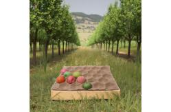 China Wholesales Customized Disposable Apple Fruit Kraft Paper Packing Protective Inserts Tray Alveoli supplier