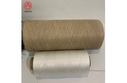 China 460tex 2 Strands PP Sausage Twine Twisted Bacon Loop Polypropylene Tying Meat Twine supplier