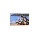 BS067XMQ-L15 6.7 inch Touch LCD Display Screen for sale