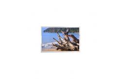 China BS067XMQ-L15 6.7 inch Touch LCD Display Screen supplier