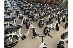 China Electric Folding Bike manufacturer