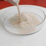 2000u/g Pancreatin Protease Manufacturers fully Soluble In Water Customized Food Grade for sale