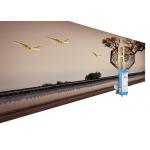 Ce Certificate 3D Wall Inkjet Printer Automatic Mural Printing For Hotel