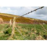 Fence Construction Protection Double Strand Reverse Twist PVC Coated Barbed Wire for sale