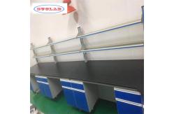 China Efficiently Utilize Lab Space with Lab Wall Benches in Export Plywood Package supplier