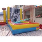 Inflatable sticky wall, bungee run, inflatable sport game (children & adults both ok) for sale