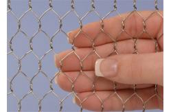 China Poultry Netting Chicken Wire Mesh , Plain Weave Galvanized Hexagonal Wire Mesh supplier