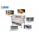1200mm Fruit And Vegetable Processing Line for sale