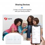 Zigbee Smart Switch Compatible With Zigbee Hubs  Type 157 2 Gang for sale