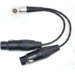 China Straight Input Camera Audio Cable 10 Pin To XLR 3 Pin Female ODM for sale