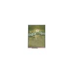 6.5 inch LCD screen panel 720*1600 LCD Module U065SWR6-0 for sale