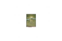 China 6.5 inch LCD screen panel 720*1600 LCD Module U065SWR6-0 supplier
