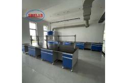 China High Safety and Some Assembly Required Lab Bench with Sink Manufacturers supplier