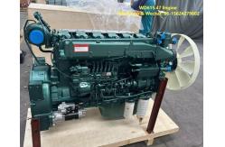 China Engine HOWO Engine HOWO Truck Parts Sinotruck Engine Engine WD615.47 supplier