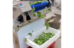 China Automatic Vegetable And Fruit Production Line Selection Cutting And Washing Machine supplier