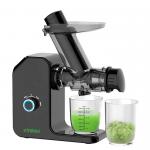 Slow Masticating Juicer Extractor With Reverse Function, Cold Press Juicer Machine for sale